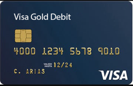 247DailyLogs – USA VISA [DEBIT] | $4000+ Balance